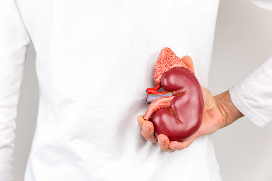 ¿Qué nos interesa saber sobre la insuficiencia renal?